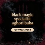Black Magic Specialist Aghori Baba in Canada